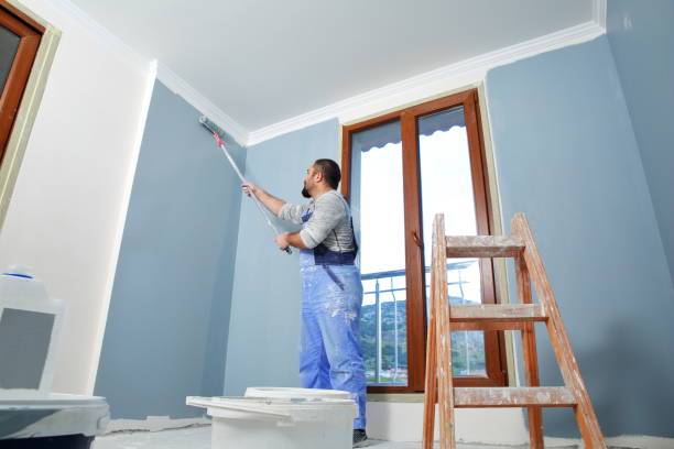 Best Attic Mold Removal  in Hartford, WI