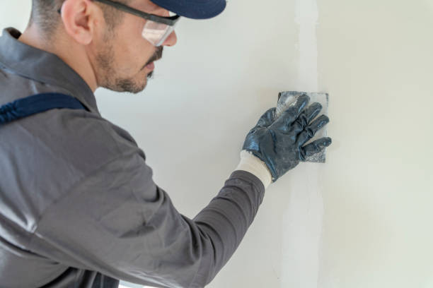 Best Attic Mold Removal  in Hartford, WI