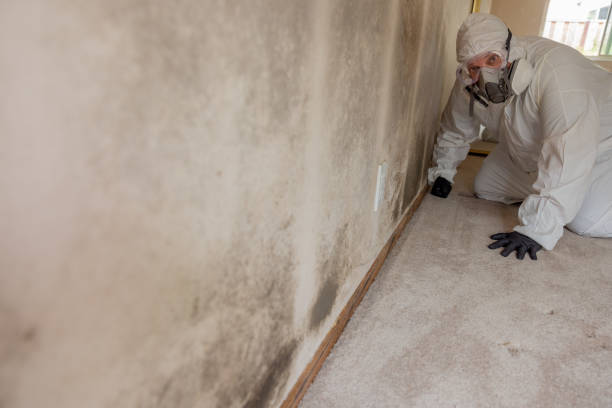 Best Mold Documentation for Insurance Claims  in Hartford, WI