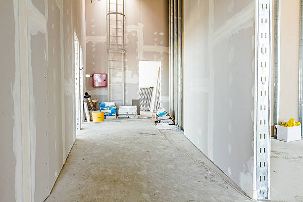 Best Comprehensive Air Testing for Mold Contaminants  in Hartford, WI